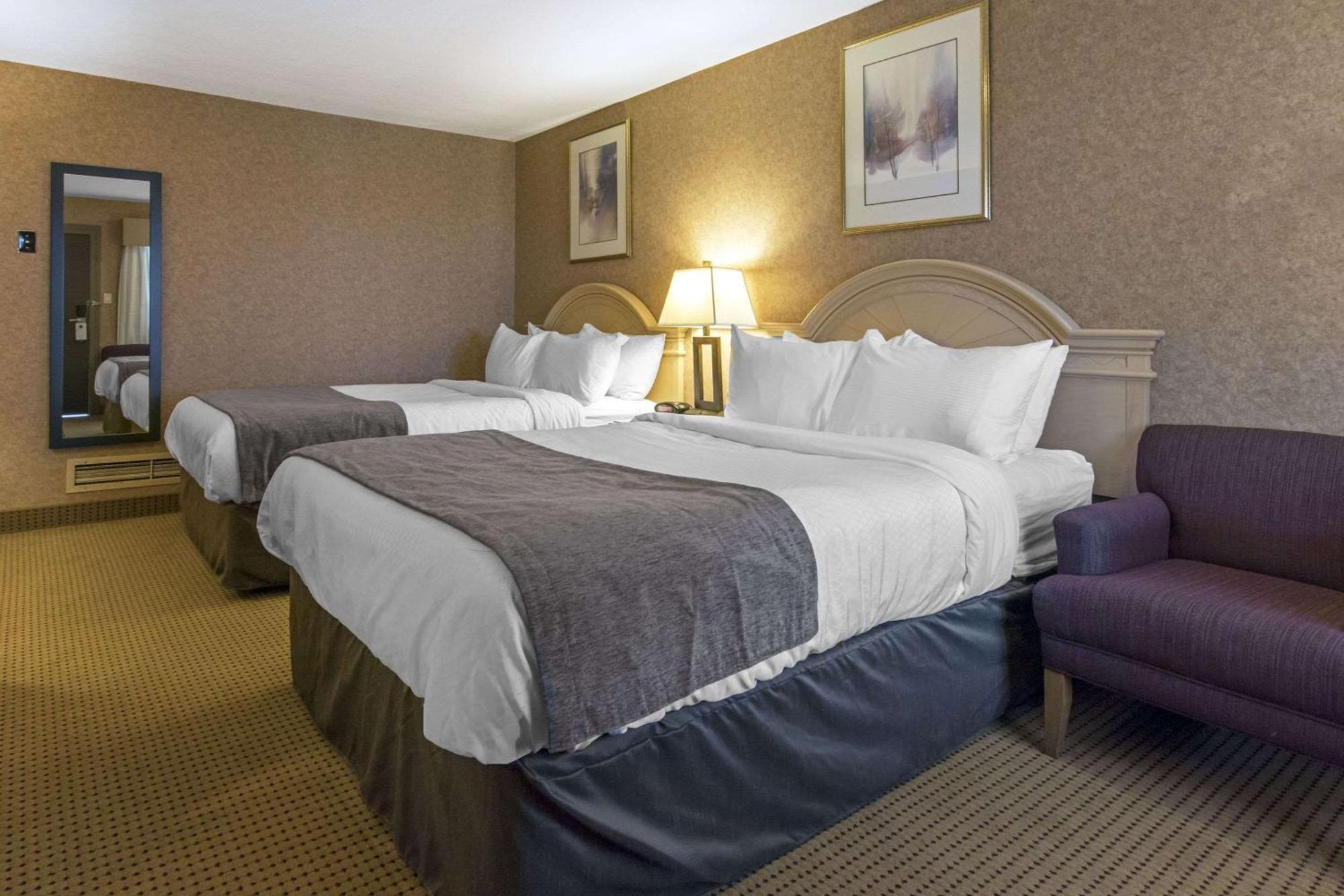 Flamingo Hotel Medicine Hat Buitenkant foto
